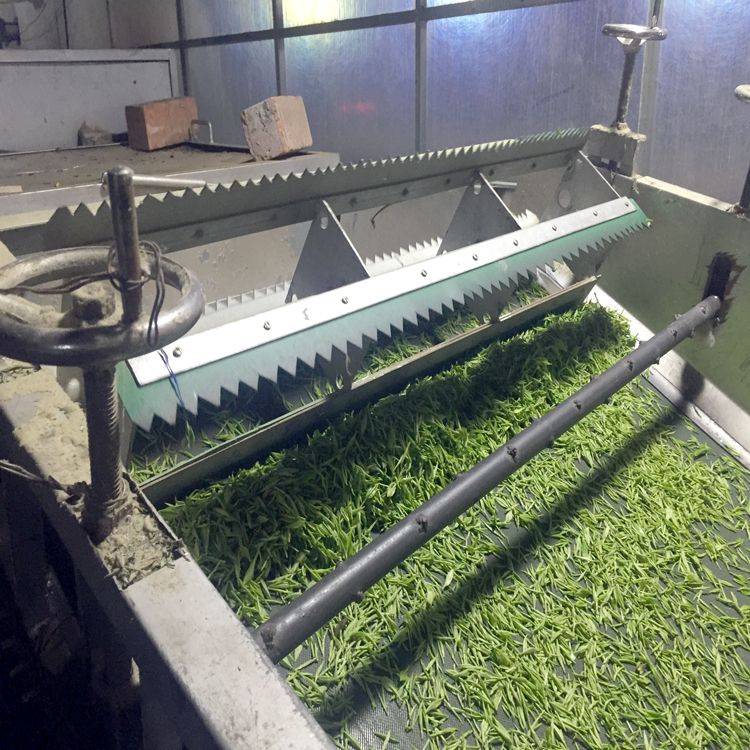 Ҷɱ΢ɱ300kg