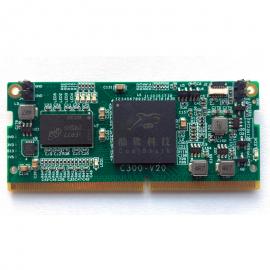 PTPİ C300