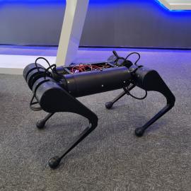 건ӦSEN AIR e-Dog