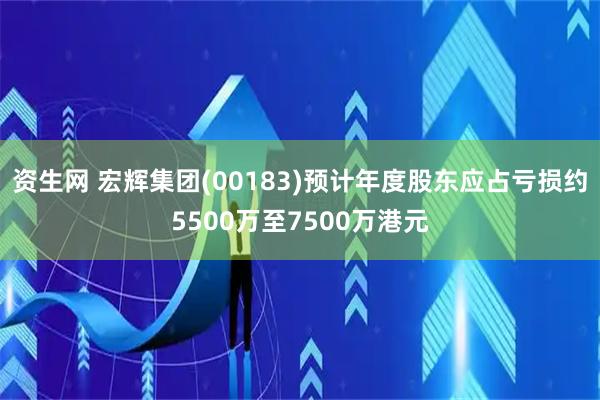 资生网 宏辉集团(00183)预计年度股东应占亏损约5500万至7500万港元