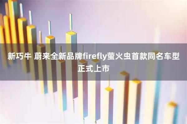新巧牛 蔚来全新品牌firefly萤火虫首款同名车型正式上市